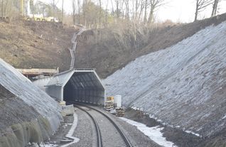 Auf beiden Seiten der historischen Tunnelröhren wurden zum Schutz der Fledermäuse 80 Meter lange Vorbauten angebracht und die Hänge zum Gleiskörper von Bäumen und Büschen befreit. 	Bild: Reichert