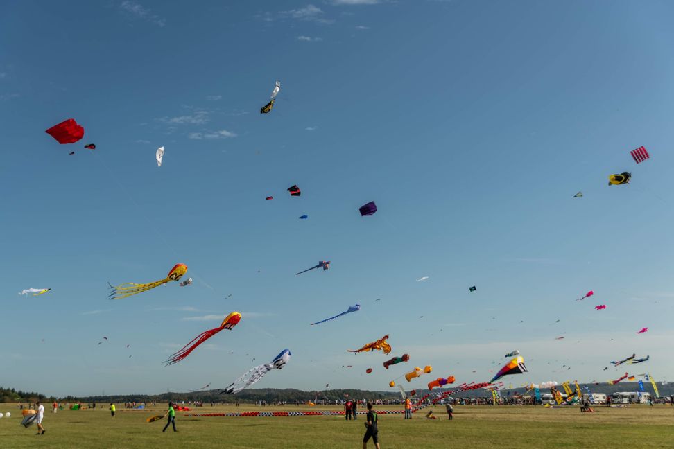 Drachen-Parade am Himmel über dem Malmsheimer Flugplatz. Bild: z