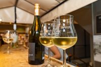 Gute Tropfen und ebensolche Stimmung beim Sindelfinger Weinspaziergang.