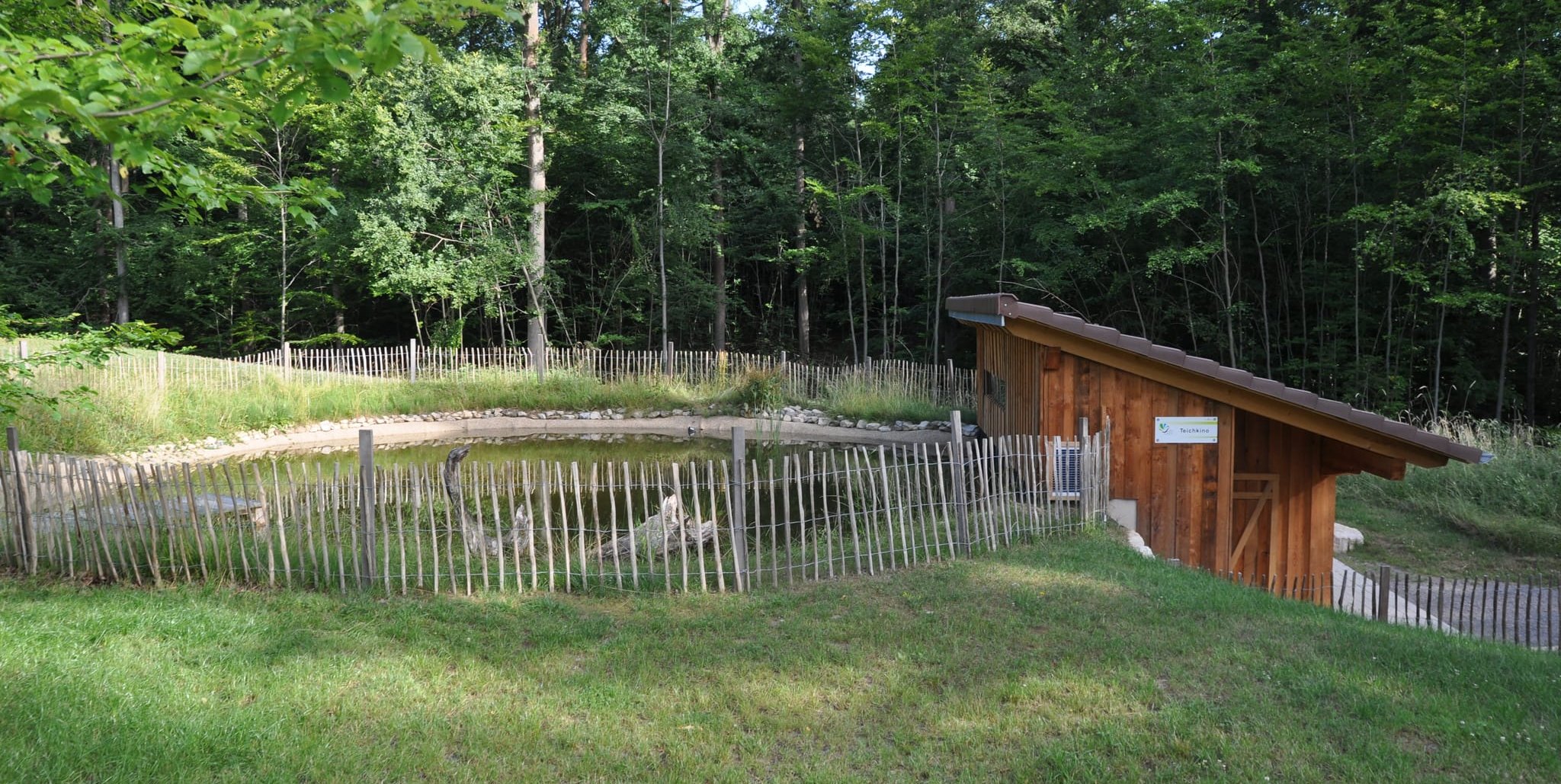 Das Teichkino im Sindelfinger Waldzentrum ermöglicht Einblicke in den Lebensraum Teich und ist von einem schützenden Zaun umgeben.Bilder: Klemm