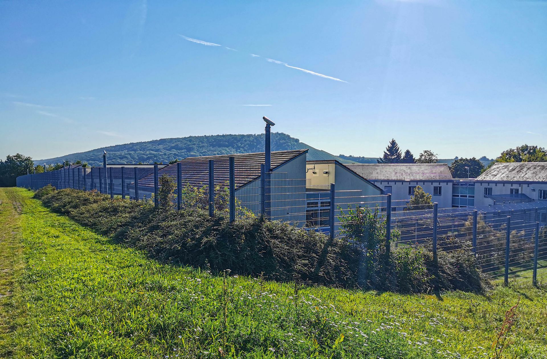 Die Zäune in Weinsberg sind nicht für alle Insassen hoch genug.
 Foto: dpa/Julian Buchner