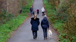 Zum Wochenstart wird es in vielen Regionen Deutschlands heiter bis wolkig.