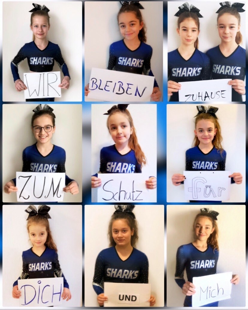 Die Mini-Sharks der SV Böblingen wissen, was sie tun.Bild: z