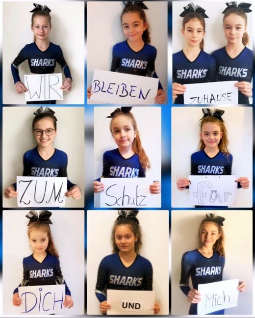 Die Mini-Sharks der SV Böblingen wissen, was sie tun.Bild: z