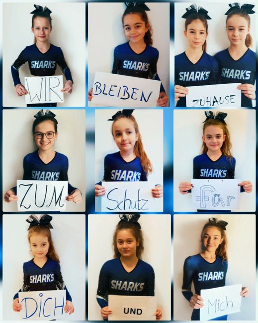 Die Mini-Sharks der SV Böblingen wissen, was sie tun.Bild: z