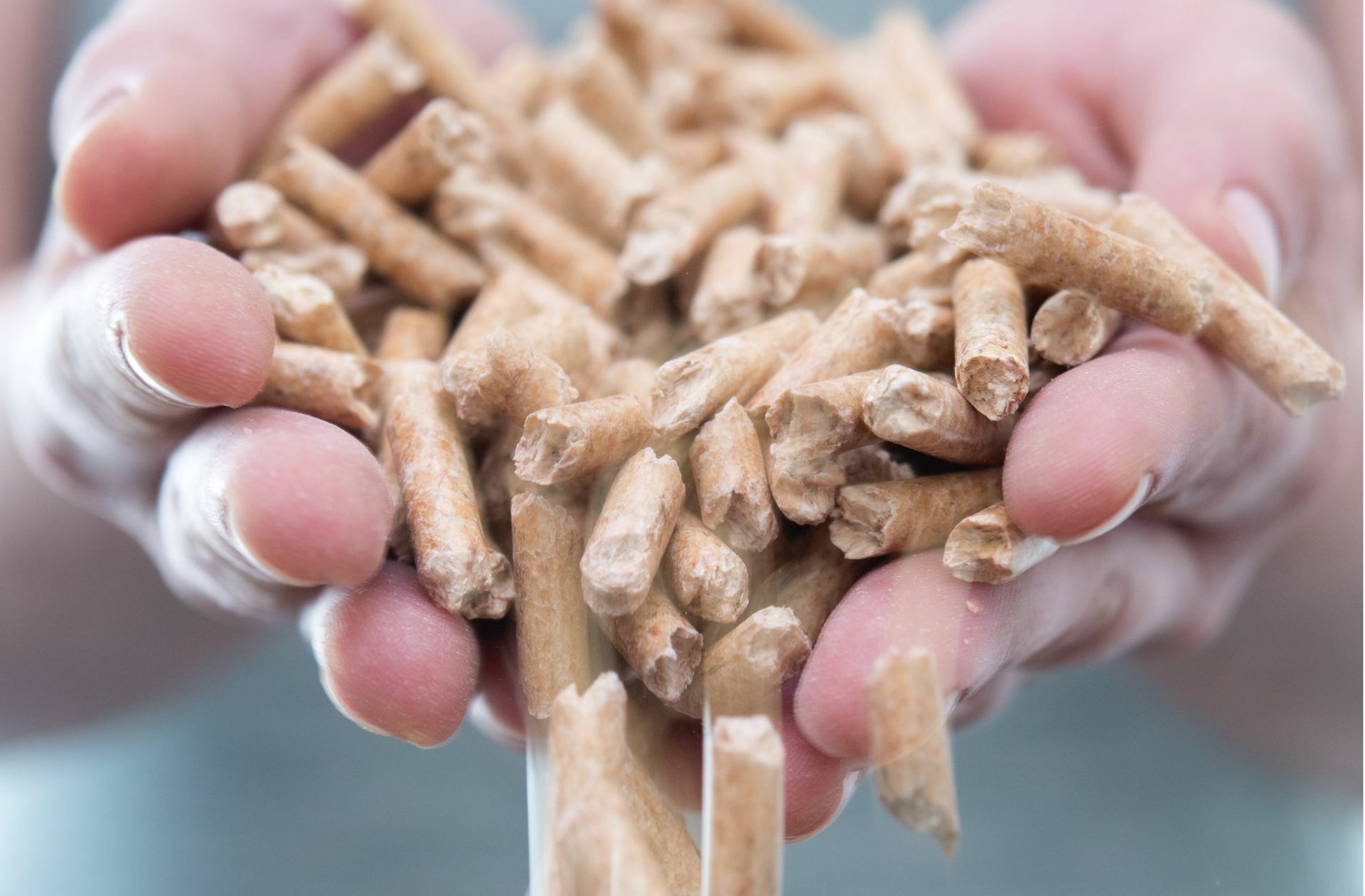 Wirbeln derzeit ziemlich viel Staub auf: Klimaschützer halten den Einsatz von Pellets zunehmend für fragwürdig.