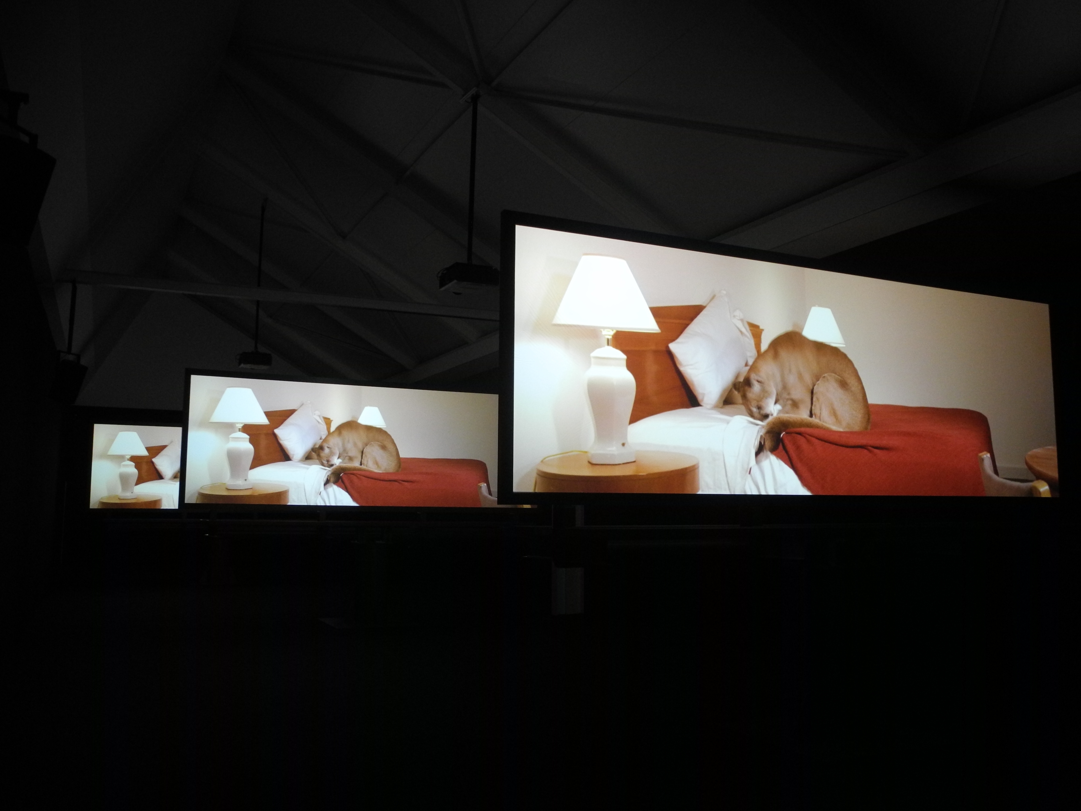 Die Videoarbeit „Migration (empire)“ (2008) von Doug Aitken. Bild: Volkmann