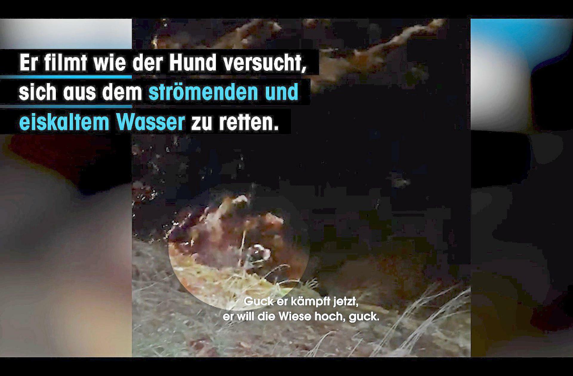 Mit diesem Video machte PETA öffentlich, wie der Mann seinen Hund in der Enz quälte.