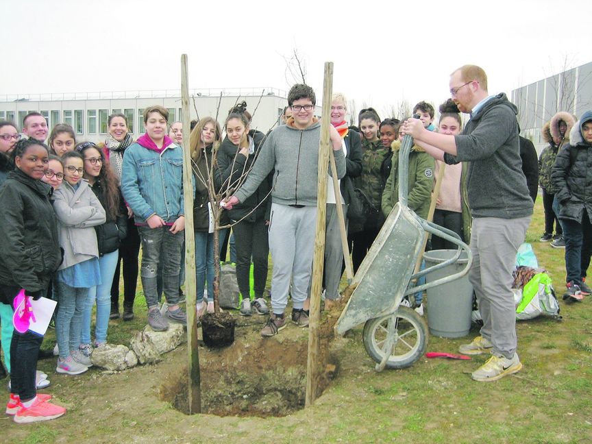 Deutsche und französische Schüler pflanzten zusammen einen Kirschbaum im Schulgarten von Clichy-sous-Bois: ein Symbol für eine nachhaltige und auf Dauer angelegte Partnerschaft. Bild: z