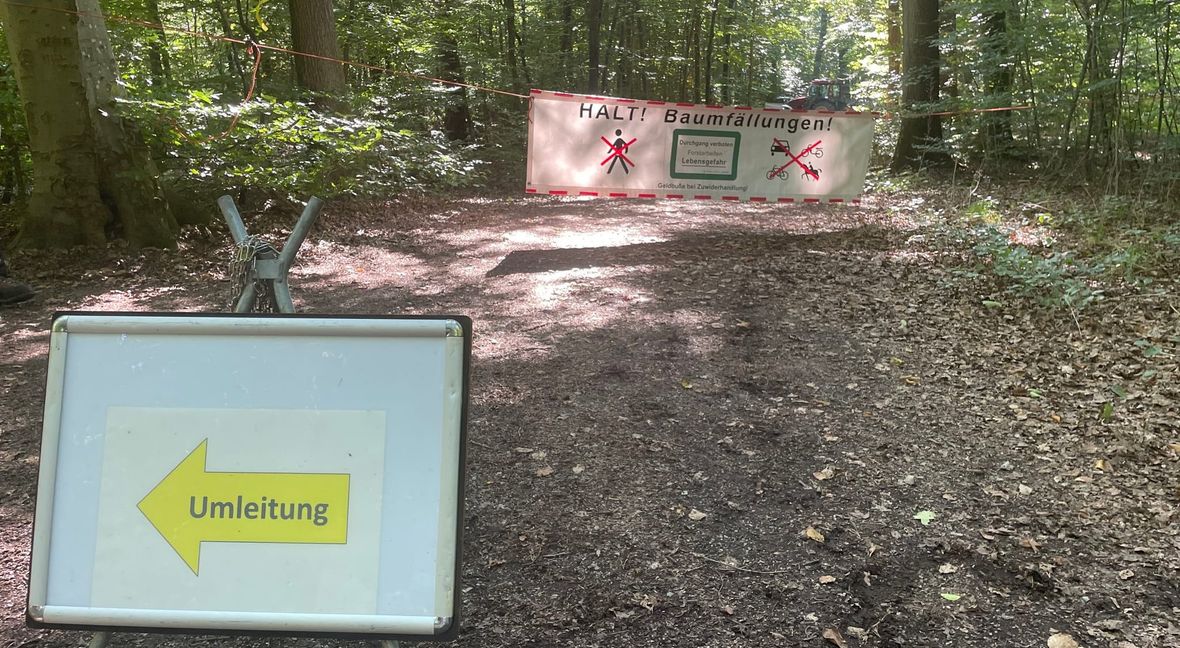 Wer das sieht, soll bloß nicht durchlaufen - auch, wenn gerade keine Kettensäge zu hören ist.