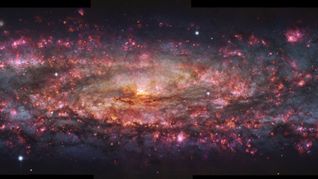 Astronomen haben ein einzigartiges Bild der Sculptor-Galaxie in Tausenden von Farben aufgenommen. Um dieses hochdetaillierte Bild zu erstellen, beobachteten die Forscher die Galaxie über 50 Stunden lang mit dem Multi Unit Spectroscopic Explorer (MUSE) am Very Large Telescope (VLT) der Eso.