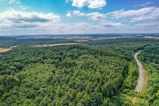 Der Wald neben der B 464 (links) ist ein potenzieller Standort für Windkraft-Anlagen. Böblingen, Holzgerlingen und Ehningen wollen jetzt in einem ersten Schritt untersuchen, ob und in welcher Form sich auf dieser vom Regionalverband ausgewiesenen Potenzialfläche ein interkommunaler Windpark mit bis zu sechs Windrädern errichten lässt.      Bild: Dettenmeyer