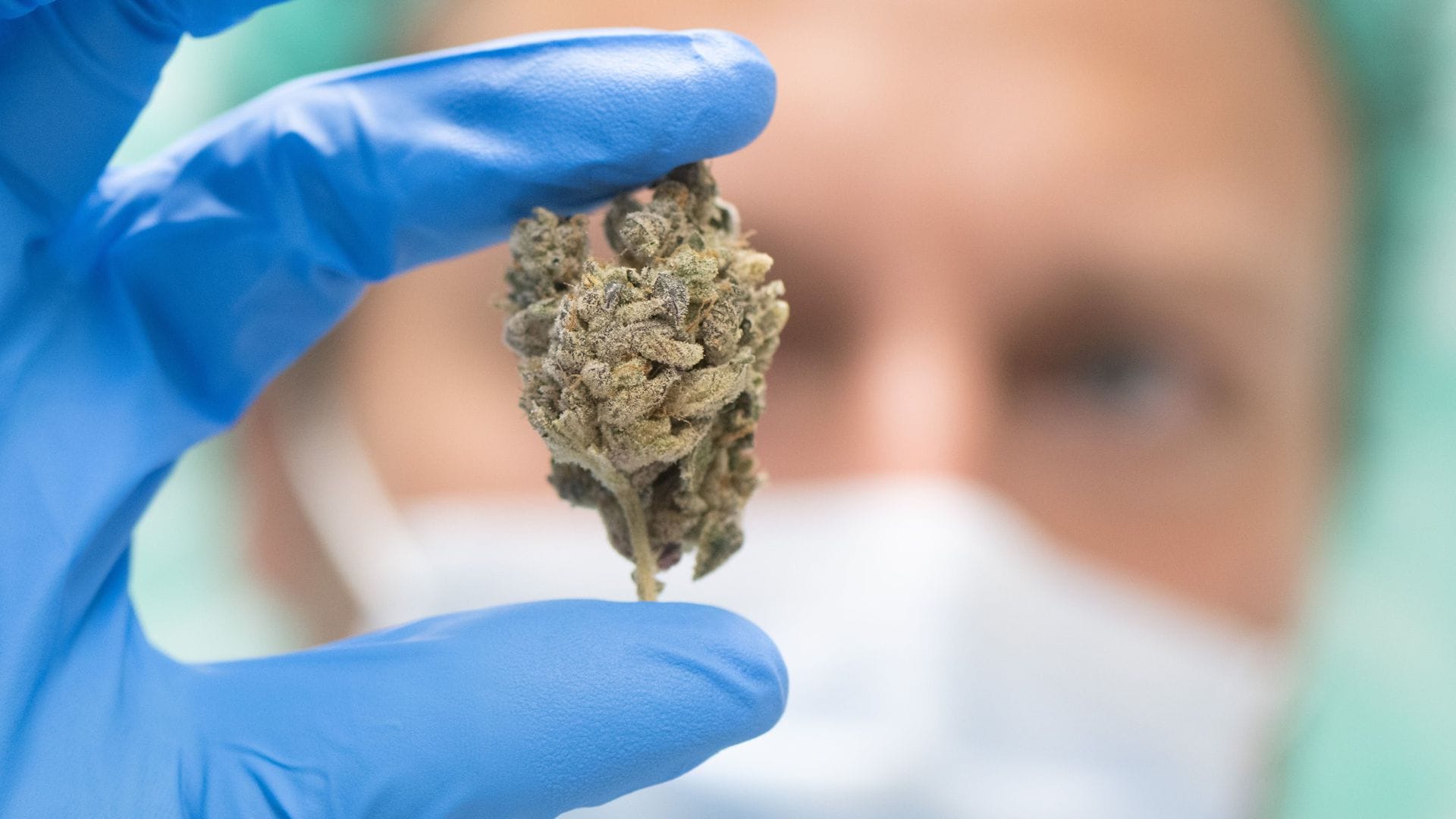 Vor allem bei der Therapie von Spastiken oder bestimmten chronischen Schmerzen soll Cannabis helfen. (Symbolbild)