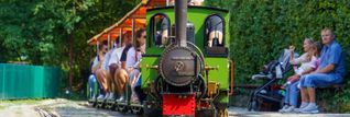 Mit der Lok durch den Sommerhofenpark.