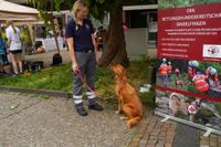 Drei Tage lang wurde beim Goldberg-Fest gefeiert.
