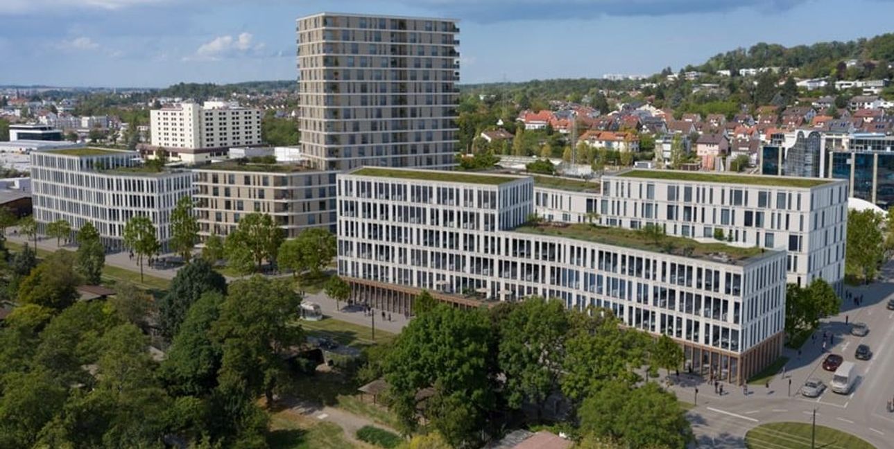 Visualisierung der Goldbach-Terrassen.