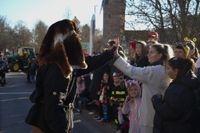 Fasnetsumzug in Weil der Stadt