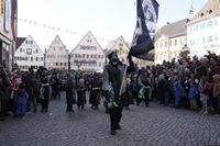 Fasnetsumzug in Weil der Stadt