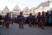Fasnetsumzug in Weil der Stadt
