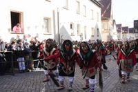 Fasnetsumzug in Weil der Stadt