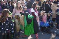Fasnetsumzug in Weil der Stadt