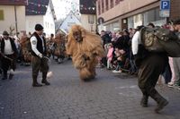 Fasnetsumzug in Weil der Stadt