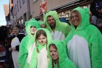 Fasnetsumzug in Weil der Stadt
