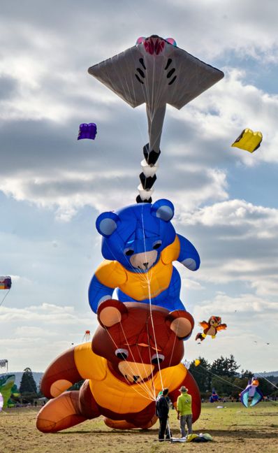 Riesige Tierfiguren gingen beim Drachenfest in Malmsheim in die Höhe.