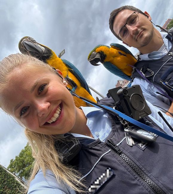 Selfie mit gefiederten Gästen.