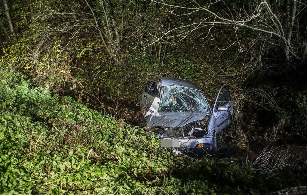 Der Fahrer konnte sich selber aus dem Fahrzeug befreien. Bild: SDMG/Dettenmeyer