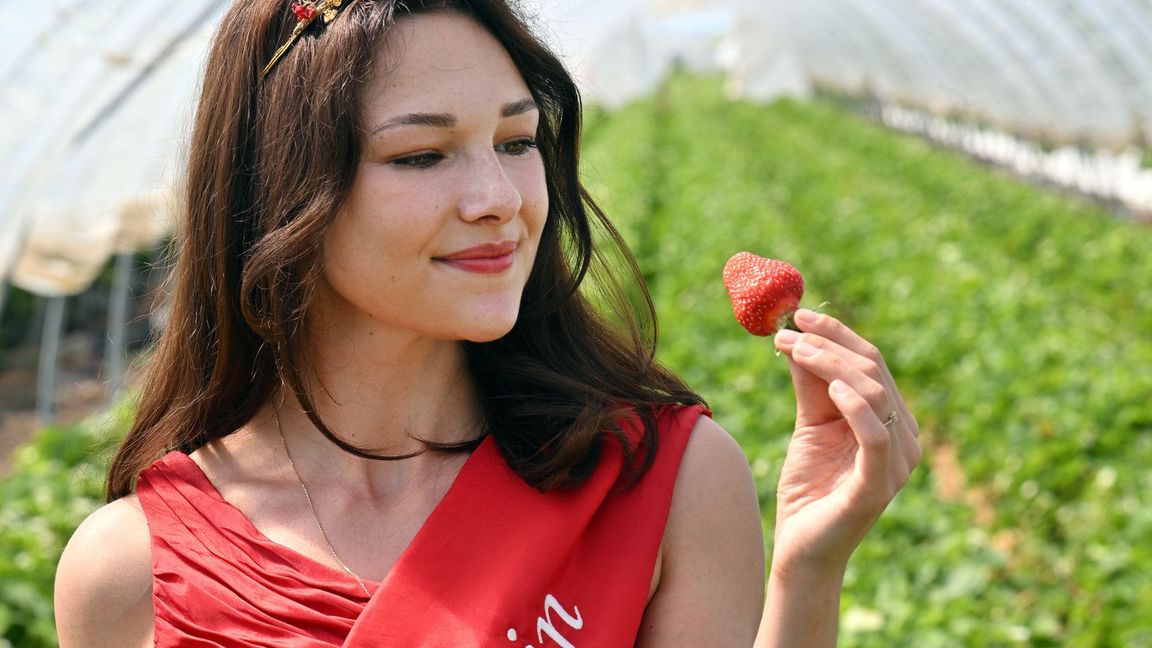 Fruchtiges snacken die Menschen in Deutschland gern zwischendurch. (Archivbild)