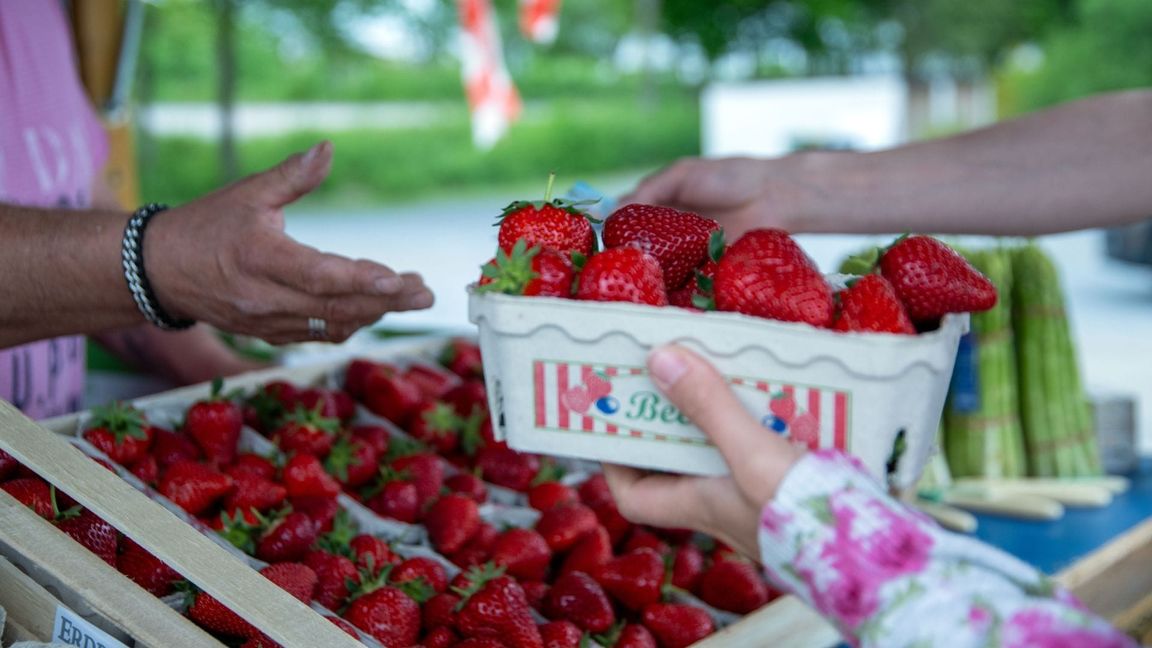 Rund 3,3 Kilo Erdbeeren essen die Menschen in Deutschland durchschnittlich im Jahr. (Archivbild)