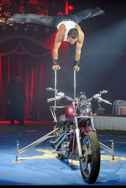 Außergewöhnliche Artistik in der Manege.