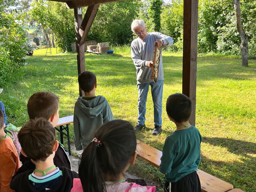 Mit etwas Abstand beobachten die Kinder, wie Imker Oskar Stefani mit einer Wabe voller Bienen hantiert.