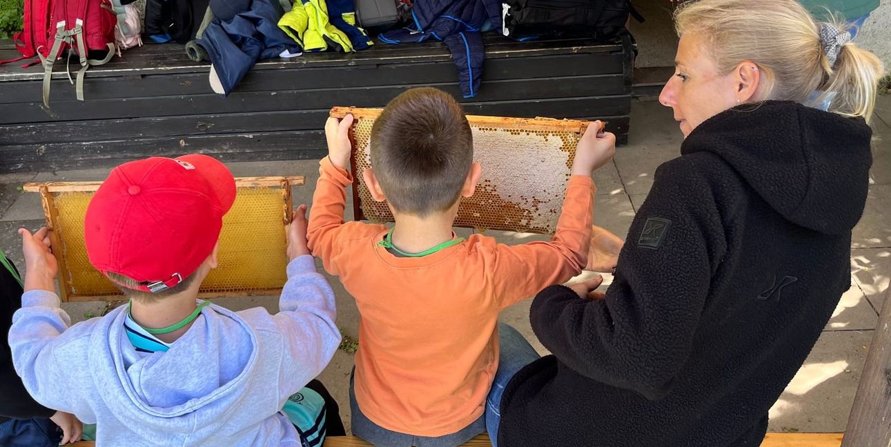 Die Kinder fühlen den Unterschied zwischen einer leeren und einer vollen Wabe.