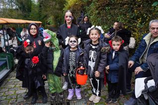 Halloween-Fahrtag bei den Sindelfinger Dampfbahnfreunden.