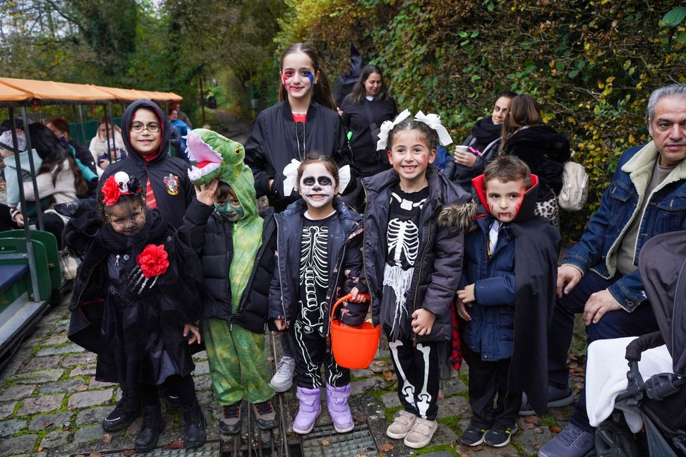 Halloween-Fahrtag bei den Sindelfinger Dampfbahnfreunden.