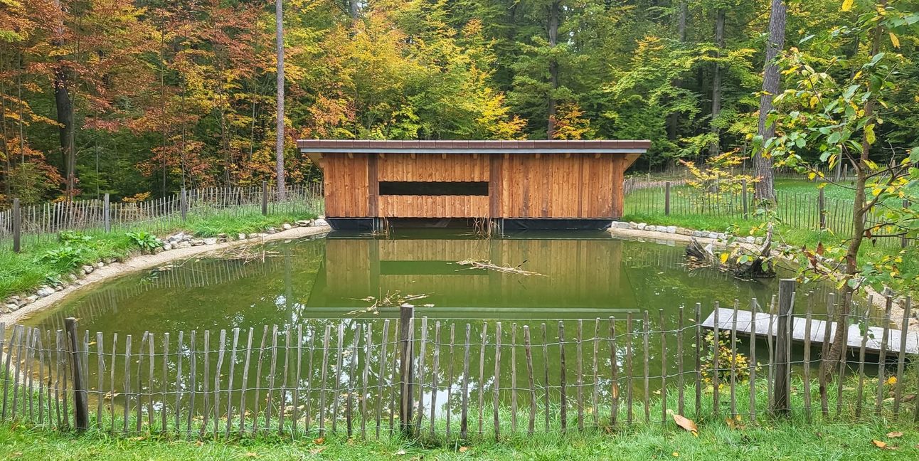 Am Sindelfinger Waldzentrum gehört das 2024 eröffnete Teichkino zum Umweltbildungsangebot.