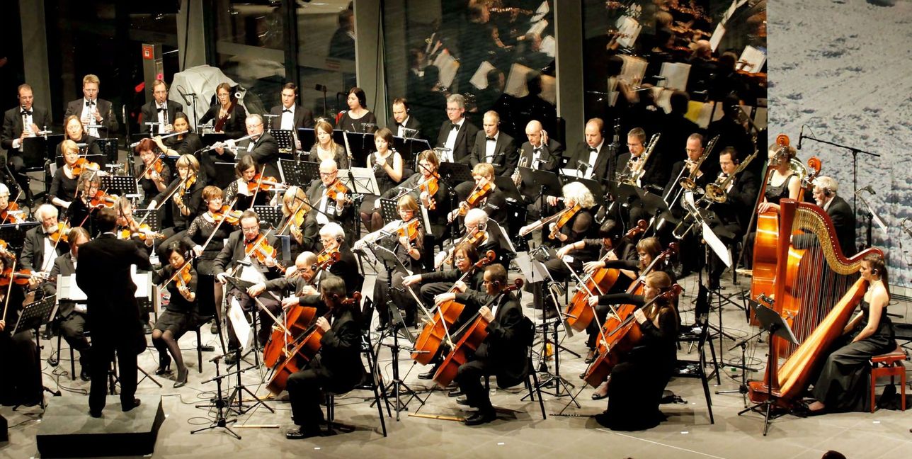 Das Daimler Sinfonieorchester gibt am Freitag ein Bild: z