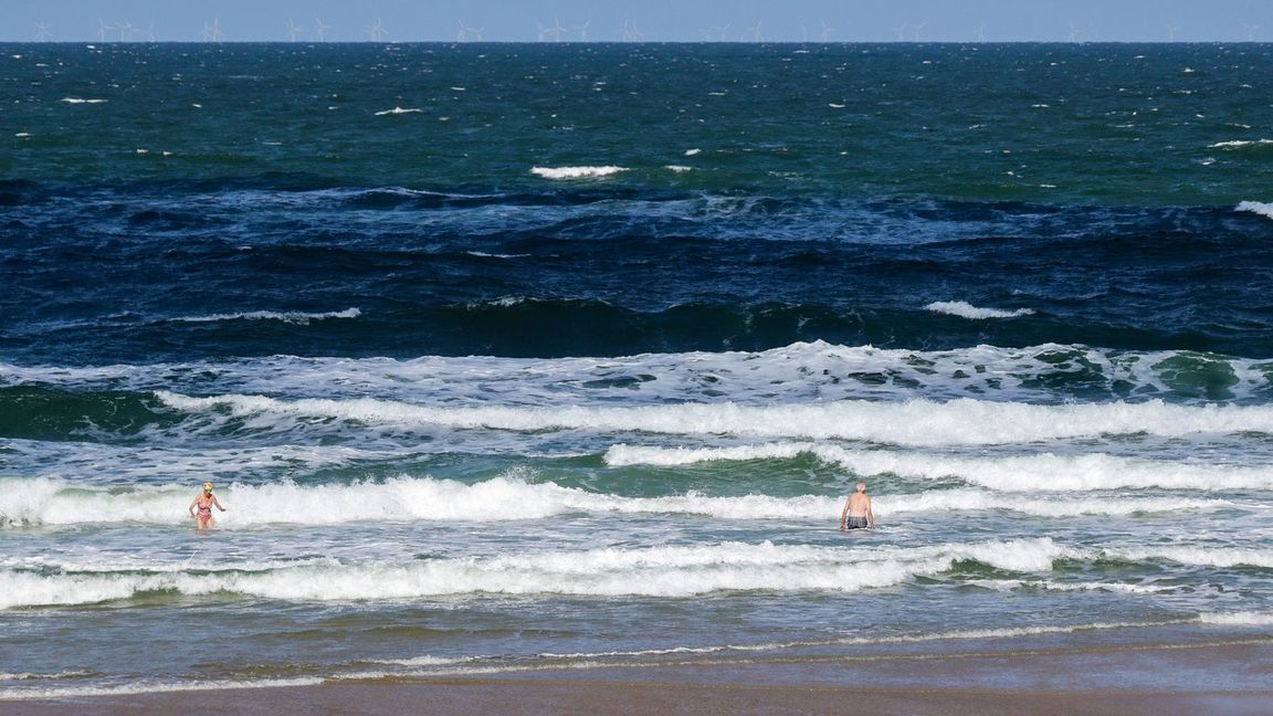 Nicht nur die Durchschnittstemperaturen von Nord- und Ostsee nehmen zu, auch marine Hitzewellen kommen häufiger vor. (Symbolbild)