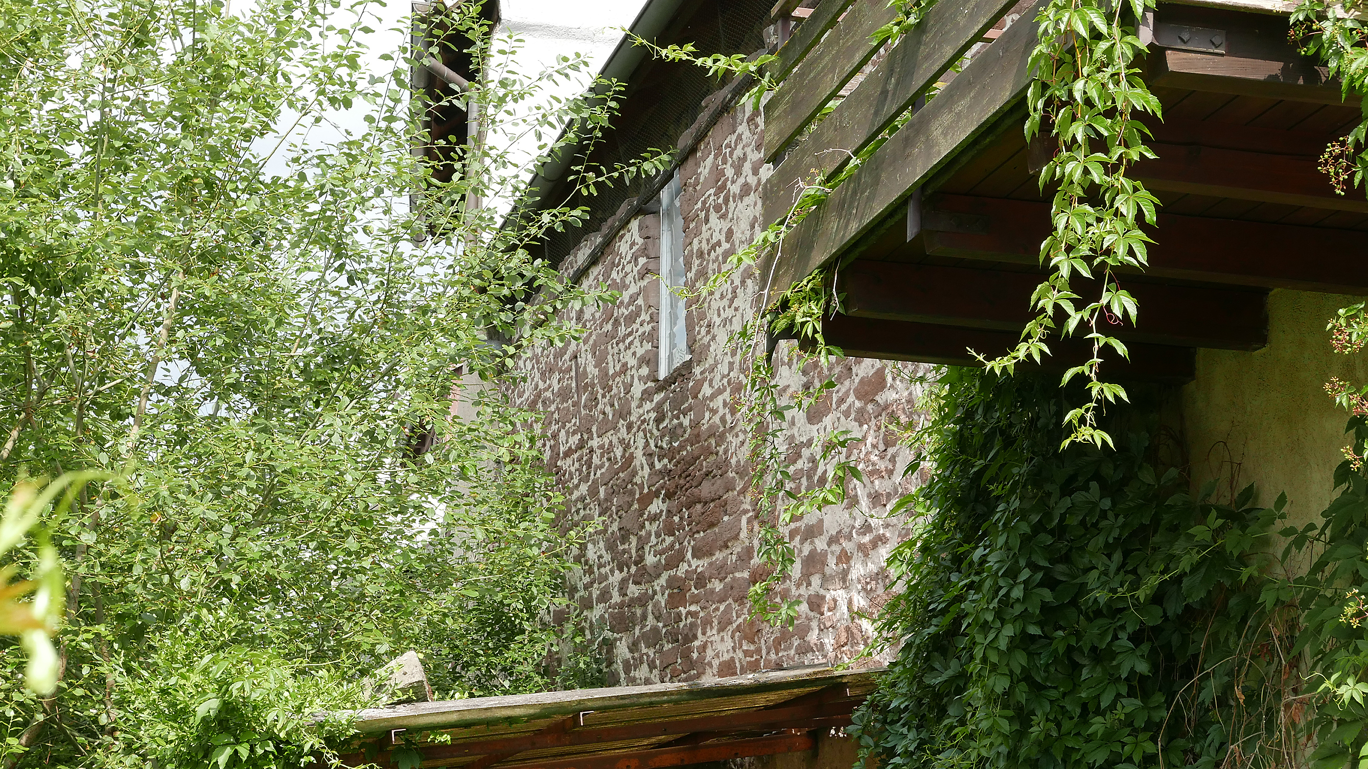 Ein Stück alte Stadtmauer hat in der Unteren Gasse 7 dem Zahn der Zeit getrotzt.