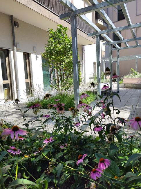 Der Garten ist eine Oase der Ruhe.