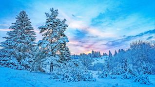 Auf dem Raichberg bei Albstadt liegt der Premiumwinterweg „Wintermärchen“.