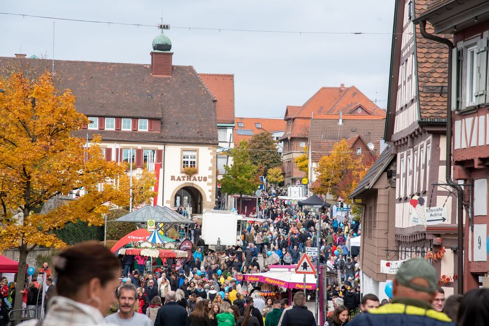 Volle Straßen beim Holzgerlinger Herbst.