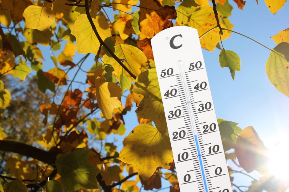 Das Wochenende wird mild in Baden-Württemberg.