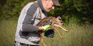 Keine Angst, Kleiner, alles wird gut.