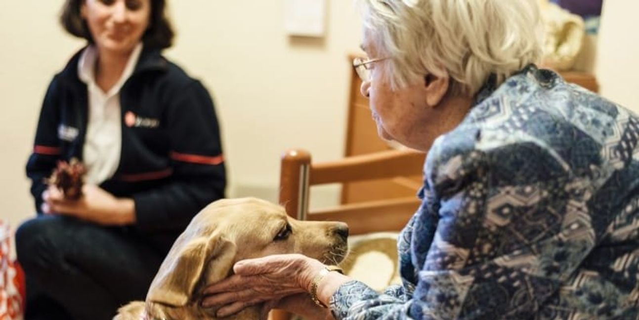 Beim Besuchs- und Begleitdienst mit Hund sorgen tierische Helfer für Freude beispielsweise in Alters- oder Pflegeheimen.