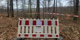 Die Forstverwaltung reagiert bereits letztes Jahr: Absperrband und Hinweisschild sollen die
Nutzung vorerst verhindern.
