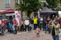 Buntes Treiben beim Böblinger Mittelaltermarkt auf dem Schlossberg.