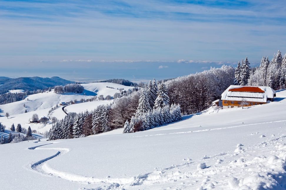 Im Schwarzwald gibt es wieder viel Neuschnee.